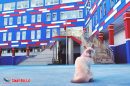 didim_sinav_koleji